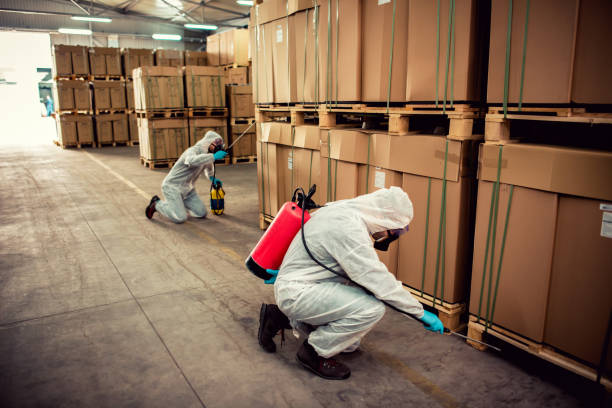 Reliable Commerce, TX Pest Control Solutions