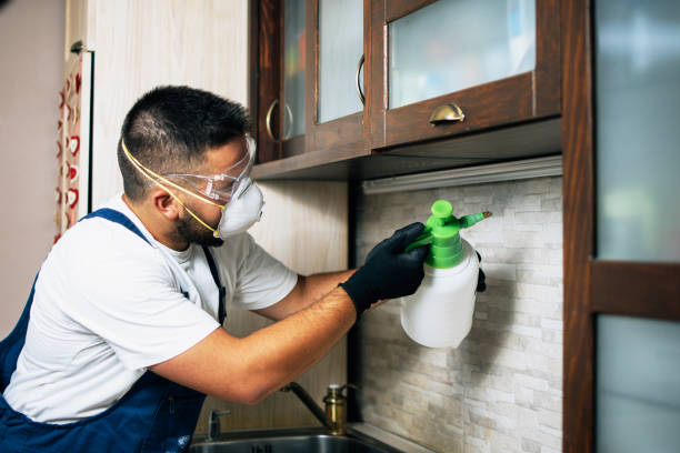 Best Bed Bug Extermination  in Commerce, TX