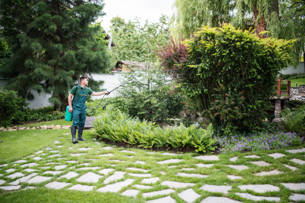 Best Local Pest Control Services  in Commerce, TX