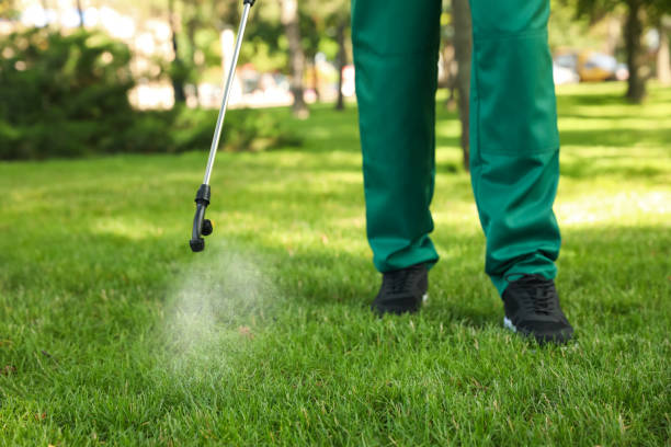 Pest Control for Restaurants in Commerce, TX