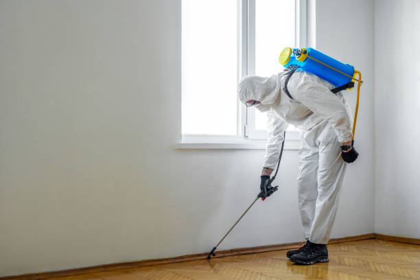 Best Termite Control Services  in Commerce, TX