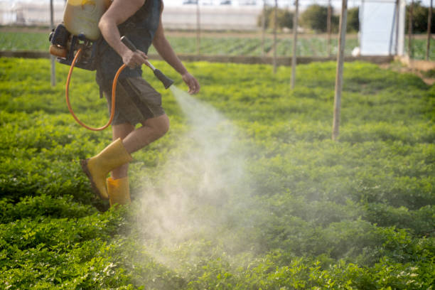Best Pest Inspection Near Me  in Commerce, TX
