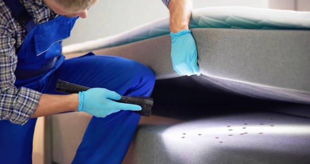 Best Mosquito Control Services  in Commerce, TX